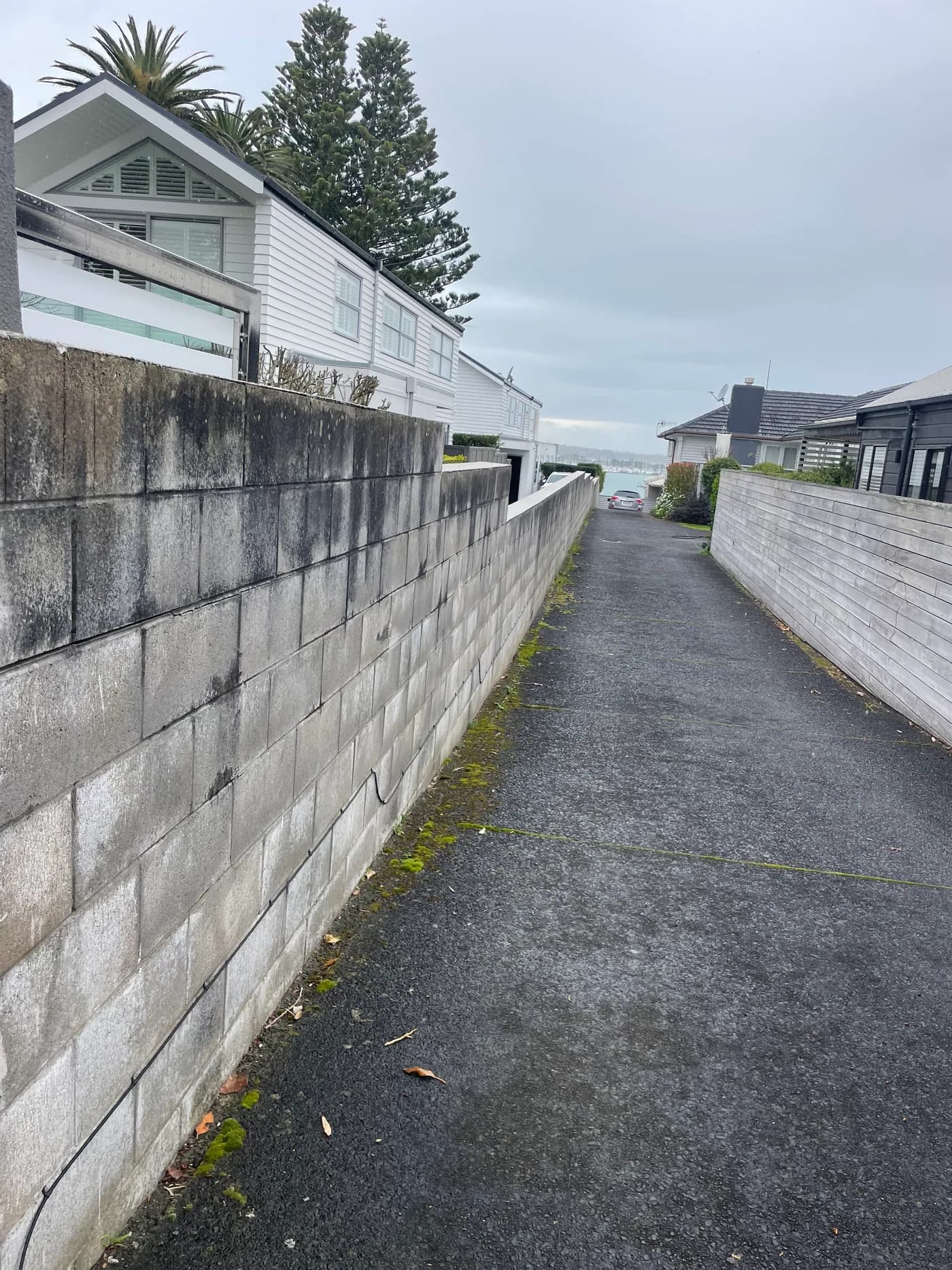 Driveway and retaining wall before Shoreline exterior cleaning